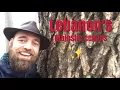 Lebanon s majestic Cedar Trees 1 min