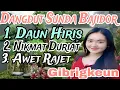Download Lagu Dangdut sunda bajidor || daun hiris || gibrigkeun #sonimusik75 sonimusik75‼️