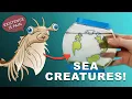 I Found Something WEIRD In This Tank Sea Creatures Unboxing Review