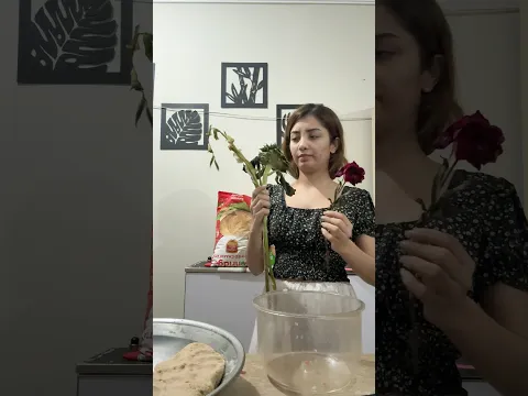 DAY 31/100 #minivlog