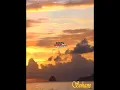 West indies (Patrick Saint Eloi) - Sohane