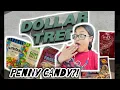 Penny Shopping at Dollar Tree I Found WAY More Than Expected 3 Stores