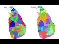 Lecture 9 Geoprocessing Tools in QGIS Unlocking Spatial Analysis and Automation