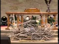 Dont Die In Your Nest TD Jakes