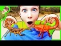 REAL SCORPION vs HexBug SCORPION