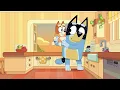 Bluey Doesn't Know What to Eat! 😆 🍽️ 💙 | Season 3 Highlight ⭐️ | Bluey