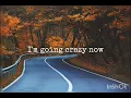 ZleepyFred- Last Leaves🍂 of Autumn🍁- lyrics