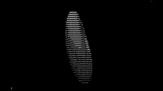 Python Spinning Donut 12 hours