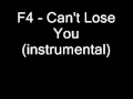 F4   Can't Lose You instrumental)