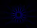 making a flower python programming coding