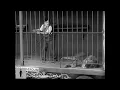 Download Lagu Charlie Chaplin with sound effects