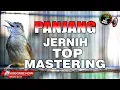 Download Lagu 🔴 KAPAS TEMBAK GACOR JERNIH PANJANG TOP TERBAIK UNTUK MASTERAN SEGALA JENIS BURUNG VIDEO JERNIH