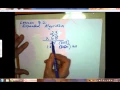Math 8 2 Expanded Algorithm