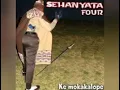 Download Lagu sehanyata  no four  ke mokakalope
