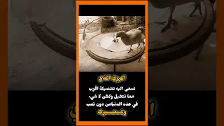 الرزق الحلال تعب ولكن ستعيش مرتاح الضمير موسيقى حزينة حالات ستوري خواطر عبارات 