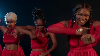 sefa fever ft sarkodie u0026 dj tira official music video 