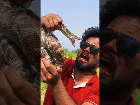 Snake Venom 🔥 X_dot