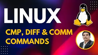 Part 7 - for Testers cmp diff comm Commands