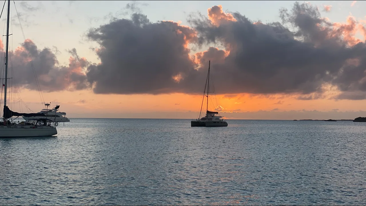 The O’Kelly’s Live Stream