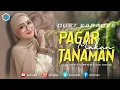 Download Lagu PAGAR MAKAN TANAMAN - ( Manayur S ) - KARAOKE DUET BERSAMA AZMYUPIL
