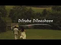 Dilruba Dilnasheen -  Lyrics -  Rito Riba -  Dilfek 