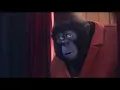 Sing - Singing Mouse Scene | Fandango Family