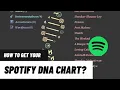 How to get your Spotify DNA CHART Spotify DNA strand playlist