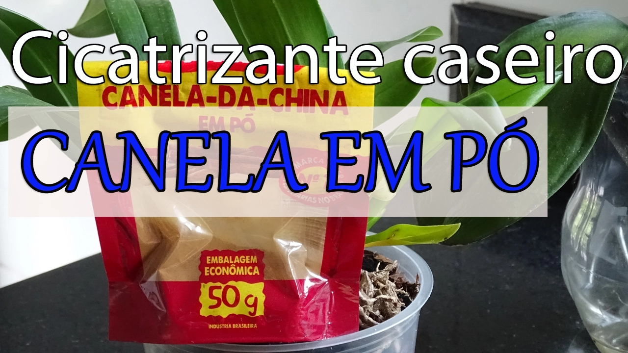 CICATRIZANTE CASEIRO PARA PLANTAS E ORQUÍDEAS COM CANELA