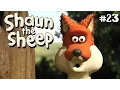 Download Lagu Cock-a-doodle Shaun | Shaun the Sheep Season 2 | Full Episode