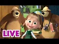 Download Lagu 🔴 LIVE 🐻👧 Masha y el Oso 🤗 Lo mejor para el Oso ❤️‍🔥 Populares 🎬 Masha and the Bear
