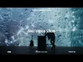 Ifan Seventeen - Crying Under the Rain | Official Lyric Video