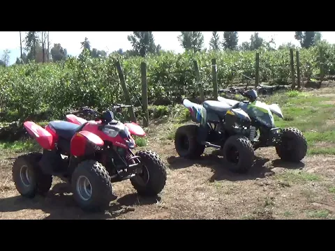 Download MP3 Which Kids ATV is for you?? 50cc, 90cc and 110cc Side by Side.