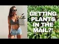 Rare EXOTIC Plants Shipped to my HOUSE The Green Escape