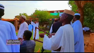 محمد المصطفي الحامدابي سلك انا زولي جابودي واقف قنا 