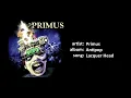Bass Cover : Primus - Lacquer Head