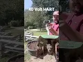 HART 40V Tiller Test harttoolsusa