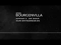 Download Lagu SPRING - BOURGENVILLA