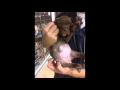 A Puppy Was Available For Sale On Craigslist