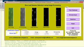 Rice Leaf Disease Detection using Image Processing Matlab Project