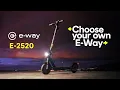 e-way E-2520, Elec. Scooter 25 0W/36V