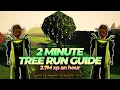 Tree Run Guide in 2 Minutes OSRS