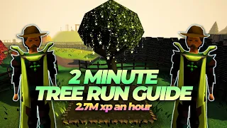 Tree Run Guide in 2 Minutes OSRS