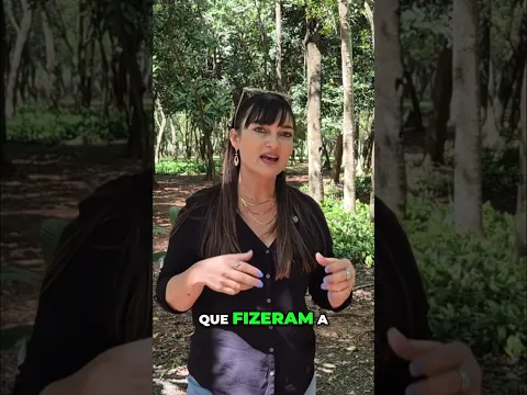 Brasil: Onde ter a lei ao seu lado não é suficiente.