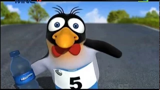 bernard bear episode terbaru episode spesial olimpiade