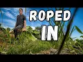 Rural Farm Life - Two Pairs of Boots a Thousand Goats and Some Banana Trees