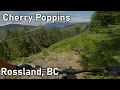 Classic Rossland Tech Cherry Poppins - Rossland BC
