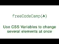 Basic CSS - Use CSS Variables to change several elements at once