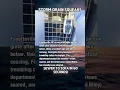 Download Lagu Firefighters Rope‑Lift Kitten from Dark Drain—Watch the Tiny Thank‑You
