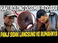 Download Lagu VIRAL DISEMBUR ULAR COBRA SAMPE BOLONG ?! PANJI LANGSUNG TOLONG KE RUMAHNYA
