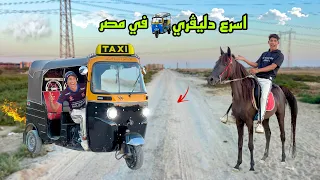 لما اخوك الصغير يشتغل دليڤري بالتوك توك     علاء حسين دندنها